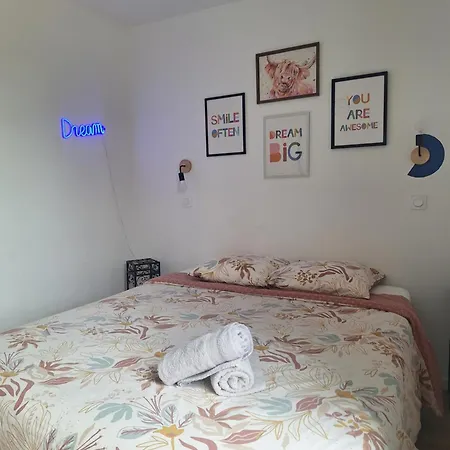公寓 La Pinede Du Cheou, Piscine, Independant, Parking, Draps, Wifi Fibre 米尼赞海滩